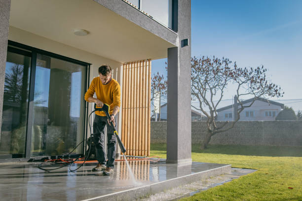 Best Pre-Holiday Cleaning  in Williamstown, WV