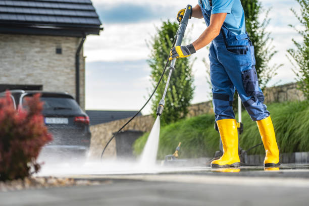 Best Sidewalk and Walkway Cleaning  in Williamstown, WV
